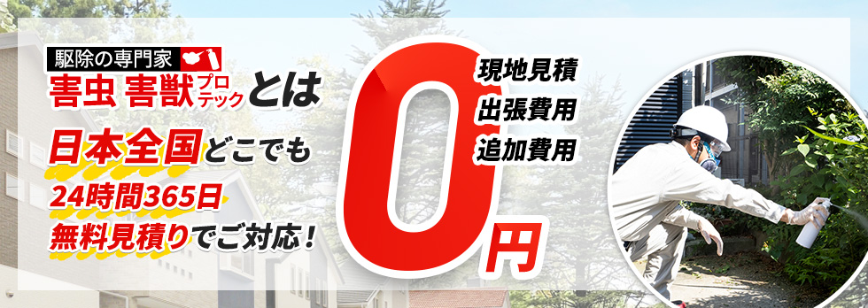 害虫・害獣プロテックとは 日本全国どこでも 24時間365日 無料見積りでご対応！現地見積・出張費用・追加費用 0円