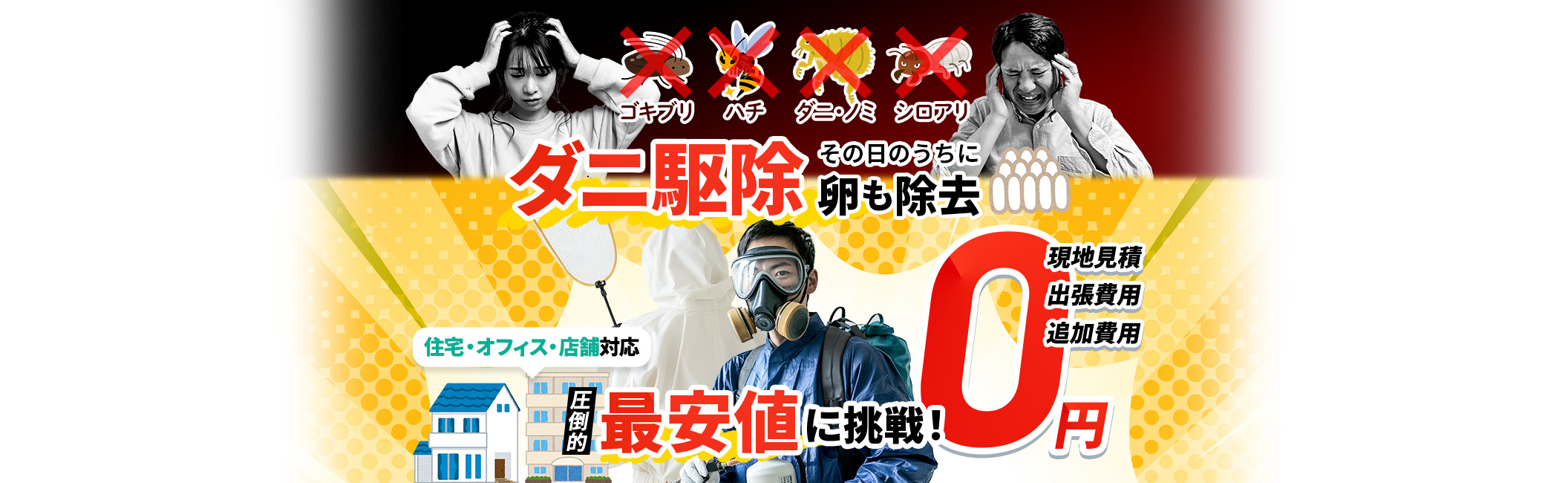 ダニ駆除 その日のうちに卵も除去,現地見積・出張費用・追加費用0円,住宅・オフィス・店舗対応,圧倒的最安値に挑戦！