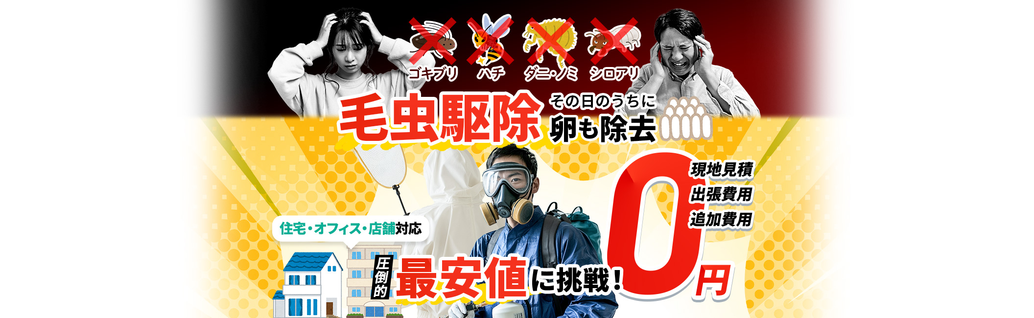 毛虫駆除 その日のうちに卵も除去,現地見積・出張費用・追加費用0円,住宅・オフィス・店舗対応,圧倒的最安値に挑戦!