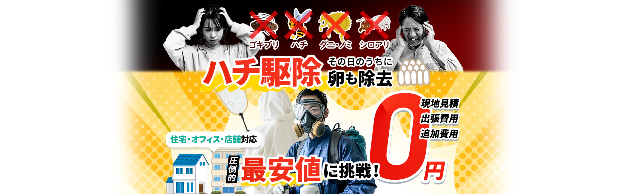 ハチ駆除 その日のうちに卵も除去,現地見積・出張費用・追加費用0円,住宅・オフィス・店舗対応,圧倒的最安値に挑戦!
