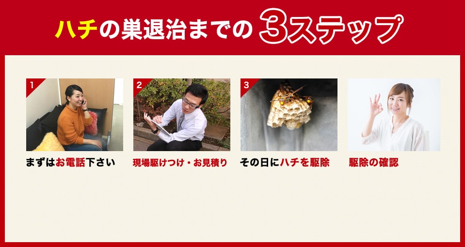ハチの巣退治までの3ステップ