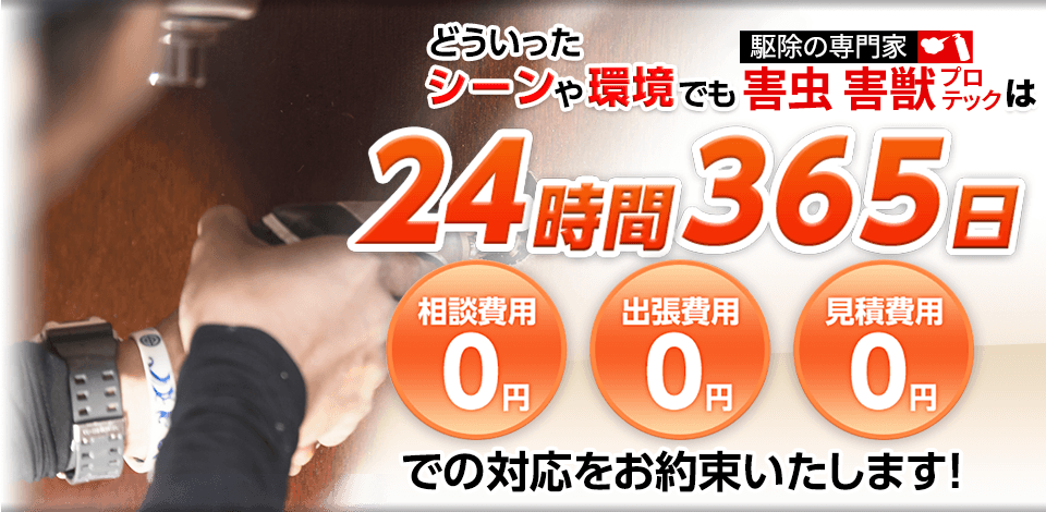 どういったシーンや環境でも害虫・害獣プロテックは24時間365日 相談費用0円,出張費用0円,見積費用0円 での対応をお約束いたします！