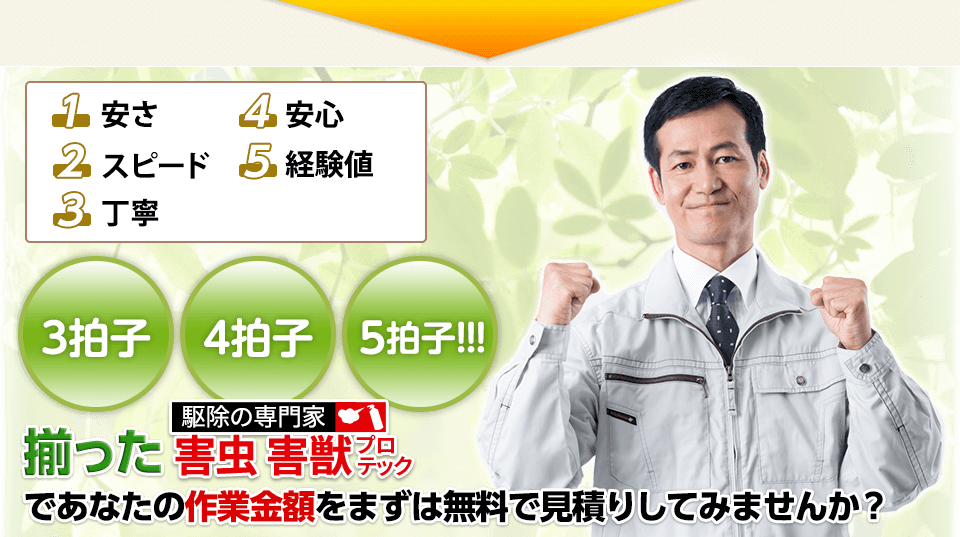 3拍子・4拍子・5拍子揃った 害虫・害獣プロテックであなたの作業金額をまずは無料で見積りしてみませんか？