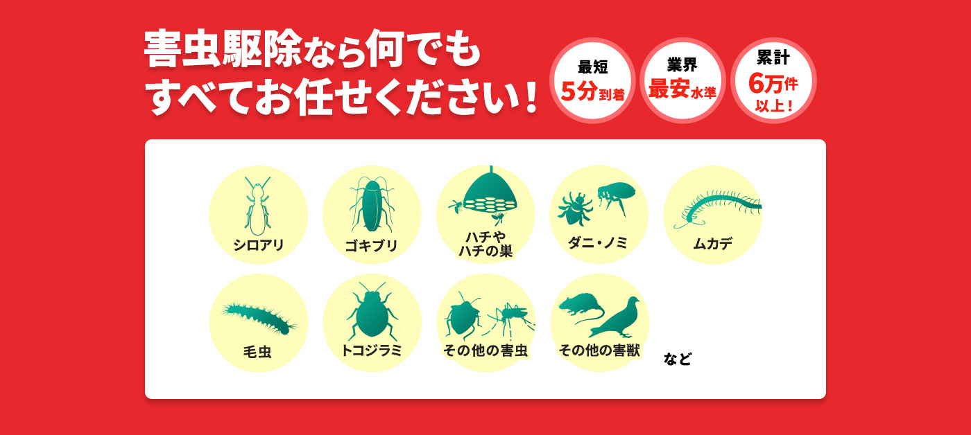 害虫駆除なら何でもお任せください!シロアリ,ゴキブリ,ハチやハチの巣,ダニ・ノミ,ムカデ,毛虫,トコジラミ,その他害虫,その他害獣 など