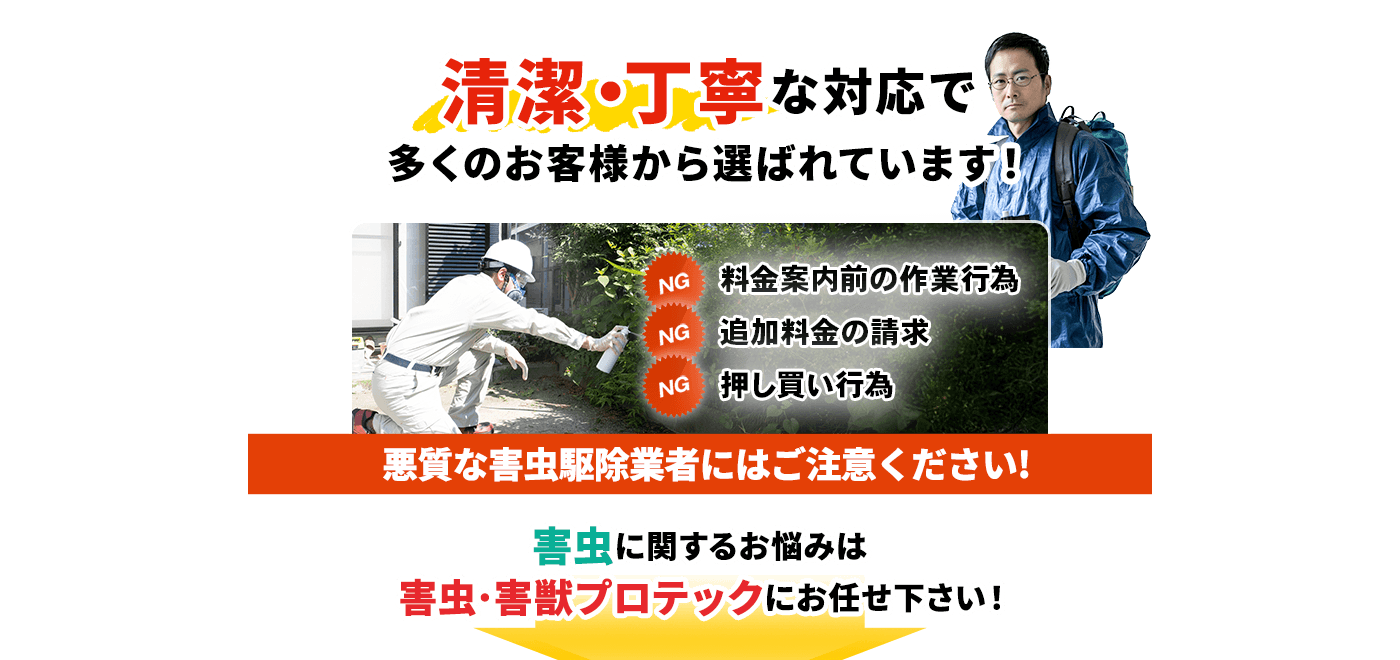 清潔・丁寧な対応で選ばれています!料金案内前の作業行為,追加料金の請求,押し買い行為,悪質な害虫駆除業者にはご注意ください! 害虫に関するお悩みは 害虫・害獣プロテックにお任せ下さい!