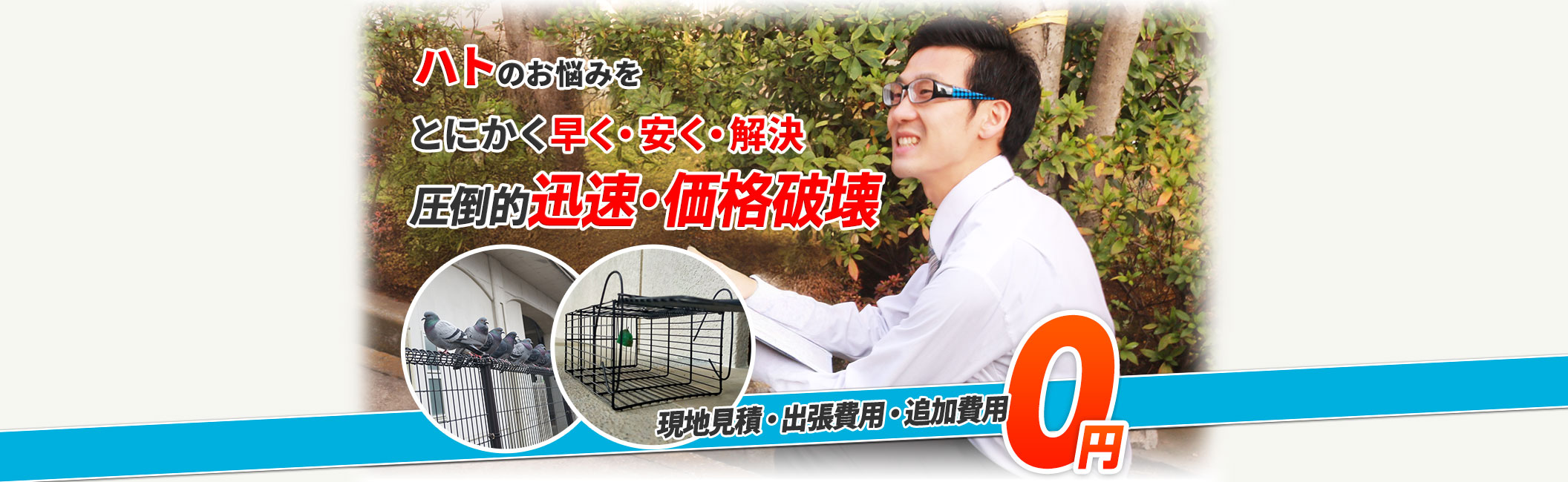 ハトのお悩みをとにかく早く・安く・解決するなら圧倒的迅速・価格破壊,現地見積・出張費用・追加費用0円