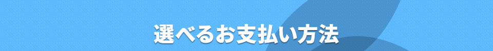 選べるお支払方法